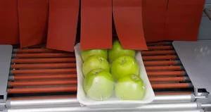 Kucukcekmece-Yesilova Meyve Paketleme Makinesi