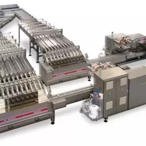 Canakkale-Lapseki-Tastepe-Mahallesi Bisküvi Paketleme Makinesi